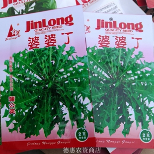 婆婆丁种子 金龙袋装东北山野菜籽 多年生蒲公英种子苦蓿黄花地丁