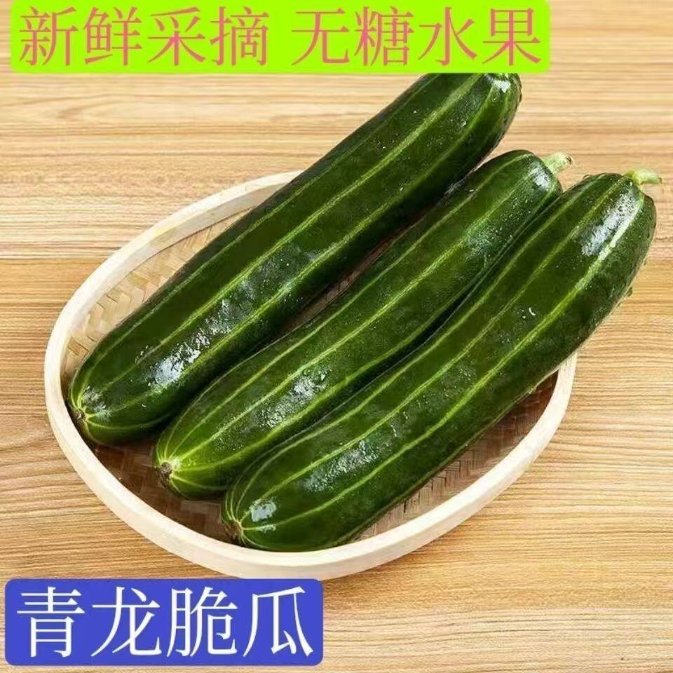 山东潍坊脆瓜稍瓜烧瓜无糖梢瓜菜瓜青龙脆瓜八棱脆瓜现摘现发