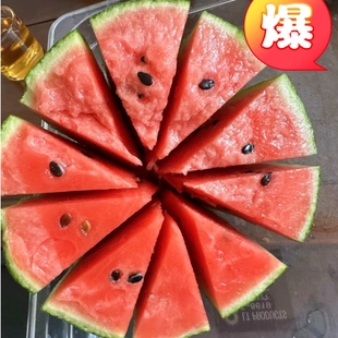 正宗潍坊2K小西瓜固堤西瓜现摘现发全美2K小糖丸皮薄手撕西瓜包熟