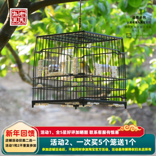 啾鸣轩老鬼笼南京绣眼文鸟亮板笼