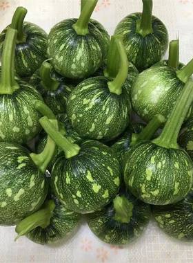 四川宜宾农家嫩南瓜新鲜南瓜蔬菜自种嫩南瓜青菜瓜绿皮迷你小南瓜