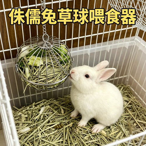 侏儒垂耳专用草球龙猫吊挂架球兔子不锈钢架塑料固定弹簧架宠物用