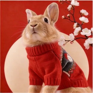 宠物用品宠物兔子衣服保暖秋冬季小侏儒垂耳兔子穿的衣服可爱过冬