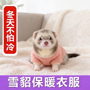 雪貂衣服兔子幼貂秋冬装无袖可爱宠物保暖过冬衣服龙猫荷兰猪衣服