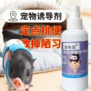 小香猪上厕所诱导剂防止乱拉尿神器宠物迷你猪定点排大小便专用品