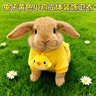 超小号兔兔衣服保暖秋冬天加绒1斤可穿侏儒兔荷兰猪土拨鼠的衣服