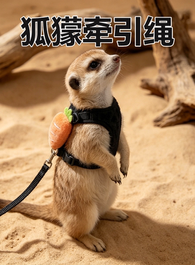 狐獴专用牵引绳外出防挣脱宠物外出溜侏儒幼兔宝宝荷兰猪龙猫链