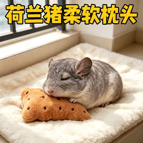 荷兰猪专用小枕头解闷神器玩具柔软睡觉夏季可爱舒适装饰宠物用品