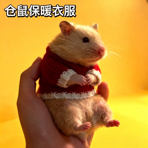 仓鼠专用小衣服保暖可爱装