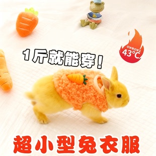 兔子衣服超小型侏儒兔专用冬天保暖加绒加厚宠物小幼兔荷兰猪衣服
