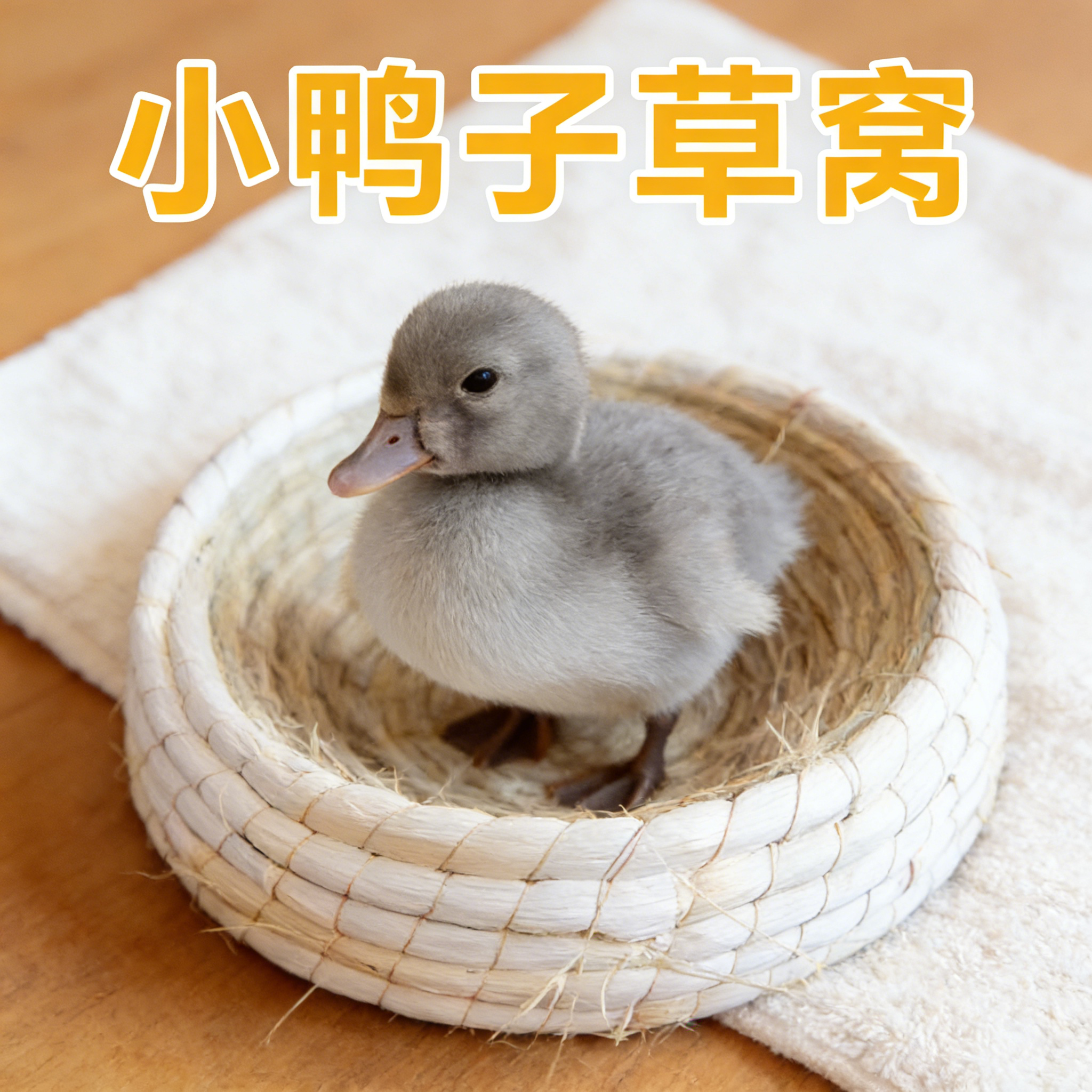 垂耳兔鸭子编织窝别墅宠物