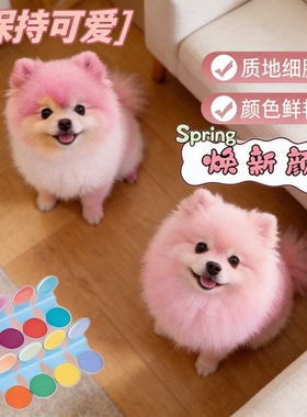 博美专用狗狗染发剂宠物专用白色一次性染色剂染毛膏比熊染色套装