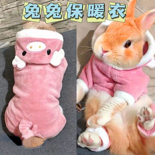 给小兔子冬天穿的衣服过冬用品多巴胺护肚子垂耳侏儒专用保暖加厚