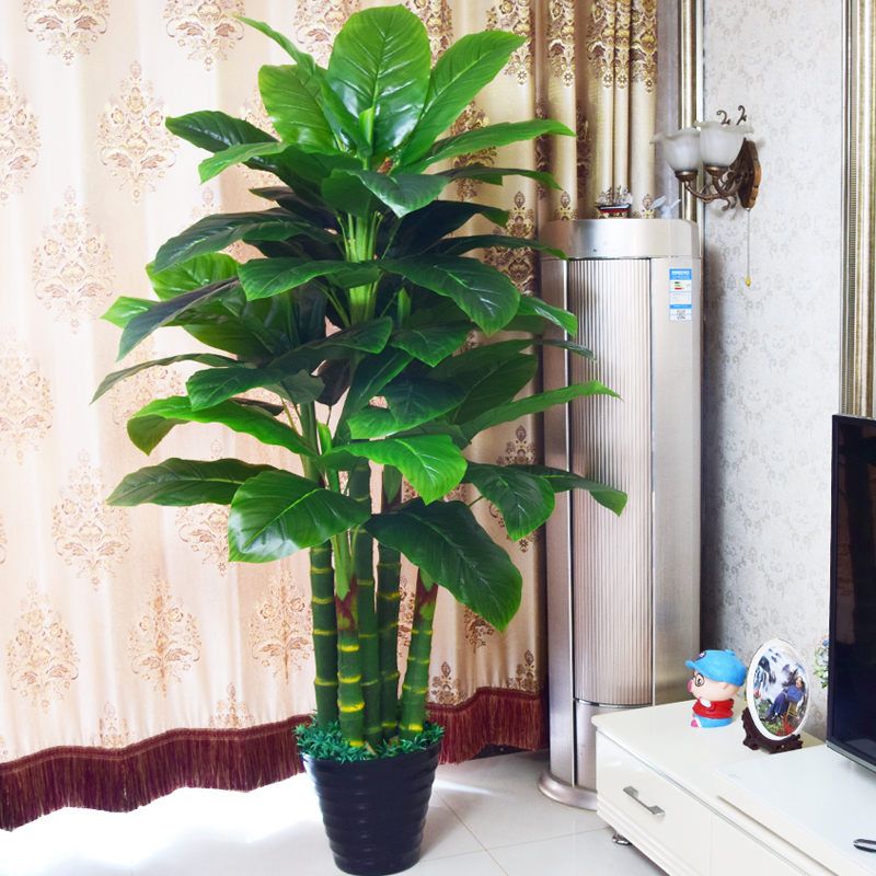 假树假花芭蕉树万年青室内装饰大型仿真植物盆栽客厅摆件落地绿植_虎窝淘