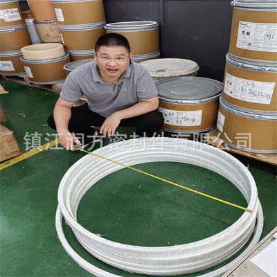 供应大尺寸RPTFE玻纤垫片 四氟非标大尺寸垫片密封圈