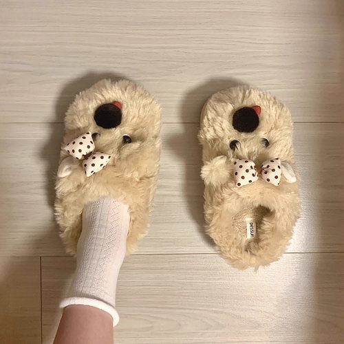 小狗棉拖鞋女秋冬季可爱防滑拖鞋毛毛绒茸茸家居室内保暖2025新款