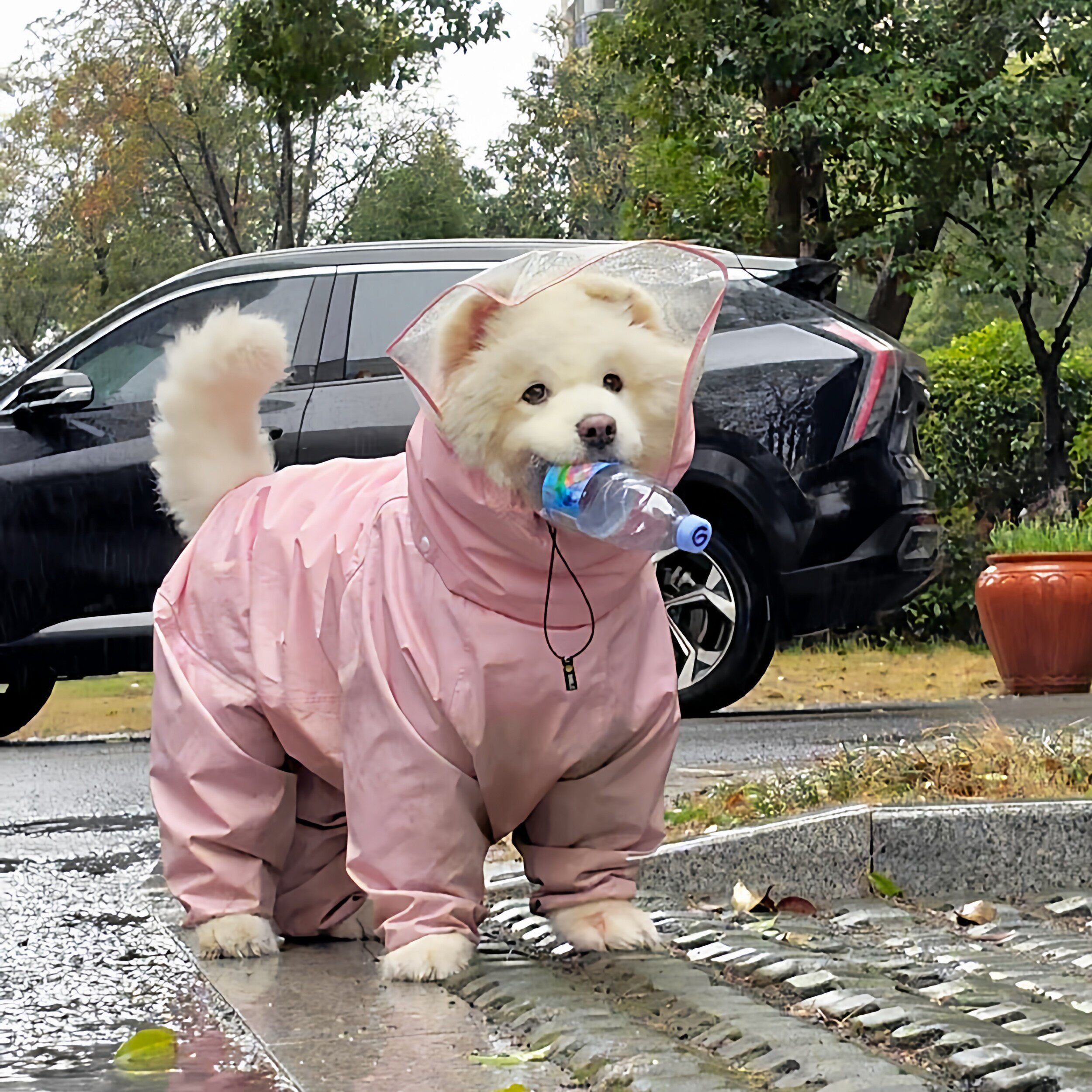 小狗雨衣四脚全包狗斗篷中型犬自带雨鞋户外防水边牧宠物雨披衣服
