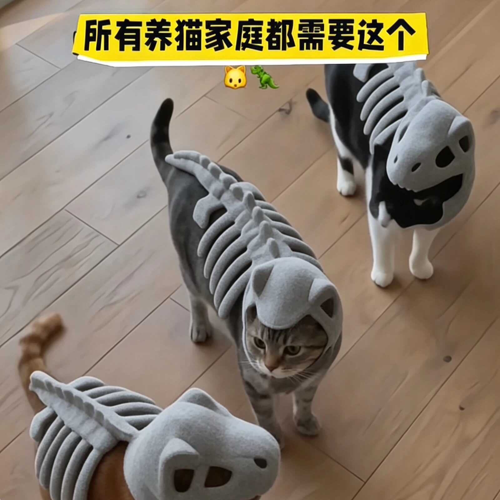 【猫龙~】恐龙骨架宠物衣服创意