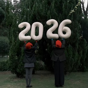 2026新年拍照气球跨年闺蜜情侣朋友出片氛围户外场景布置装饰道具