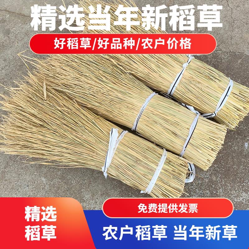 稻草干草禾杆草扎肉捆做霉豆腐稻草屋顶装饰遮阳房檐草帘铺垫稻草