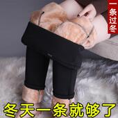 女外穿冬季 加厚女裤 妈妈中老年大码 加绒打底裤 弹力显瘦保暖裤 子女