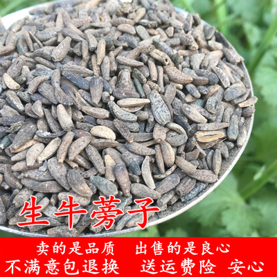 牛蒡子 野生500g牛蒡子茶 大力子 牛旁子 牛膀子生牛子 可炒可粉