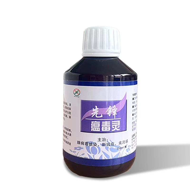 先锋鸽药温毒灵水剂清热流新城腺病鸽用品赛信鸽鹦鹉鸟厂家包邮