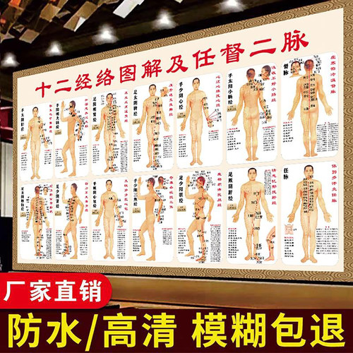 人体经络穴位标准大图高清海报