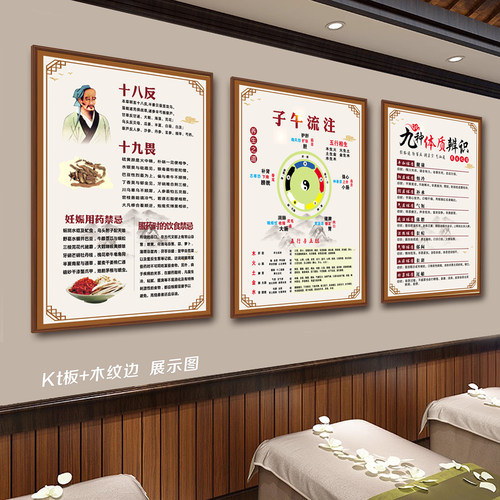 九种体质十八反八不调舌诊广告