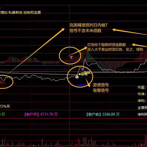 新版【分时操盘T+0】通达信分时主图日内做T指标精准低买高卖