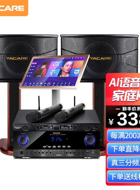 雅桥（YACARE）T1家庭ktv音响套装家庭影院点歌机K歌家用卡拉ok音