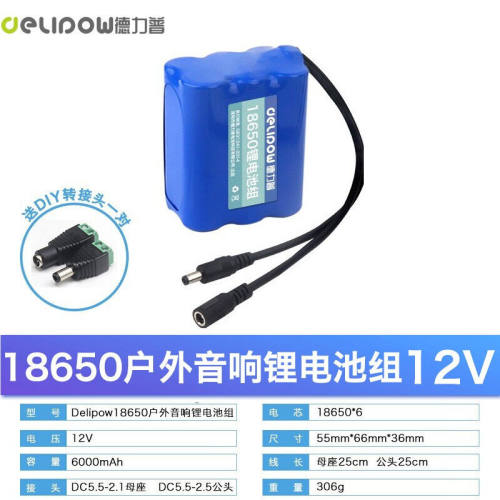 德力普（Delipow）12V锂电池组18650充电电池组带保护板大功率大