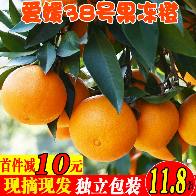 爱媛38果冻橙应四川包邮当