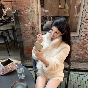 韩系慵懒气质仿貂环保皮草立领短款 江南美人 简约外套 新款 PRISCA