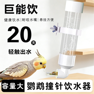 鹦鹉撞针水壶自动喂水器玄凤虎皮牡丹可悬挂防漏大容量水壶