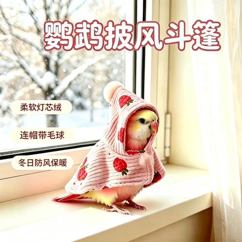 冬季鹦鹉灯芯绒连帽防风保暖斗篷