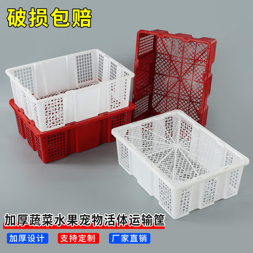 一次性活体宠物快递周转筐塑料筐水果筐镂空周转箱带盖