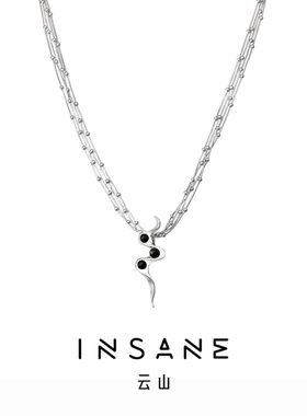 INSANE云山气系列原创设计质感轻奢不规则高级感项链