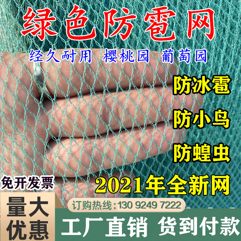 防鸟网罩樱桃网果树防鸟网果园尼农用防鸟网