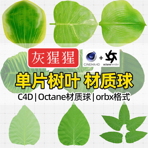 灰猩猩OC材质球C4D树叶植物纹理贴图材质包Octane渲染器orbx预设