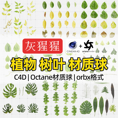 灰猩猩OC材质球C4D植物树叶纹理贴图材质包Octane渲染器orbx预设