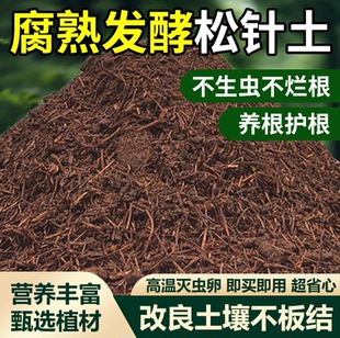 腐熟松针土粉碎发酵养花君子兰土壤通用有机种菜兰花专用不掺土