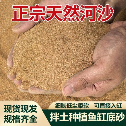 天然河沙大包装50斤多种规格鱼缸底砂养花拌土细沙黄沙子人工精筛