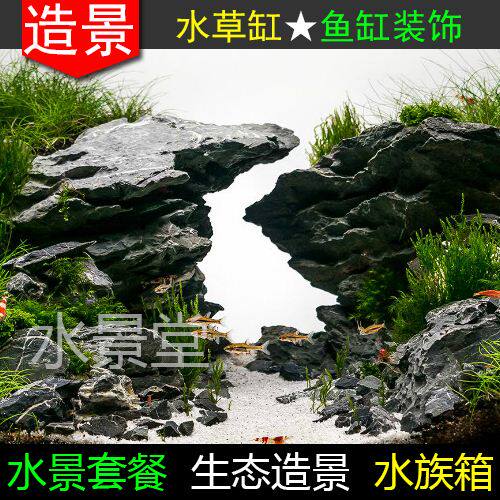 青龙石水草缸造景套餐 装饰水草 水缸造景 水草缸造景