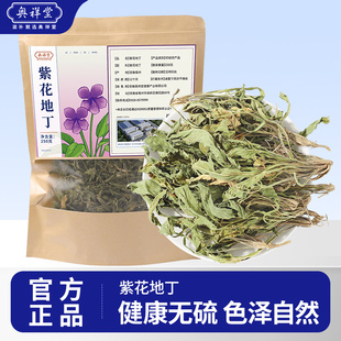 野生紫花地丁正品中草药材250g克新货犁头草地丁草地丁茶泡茶水喝