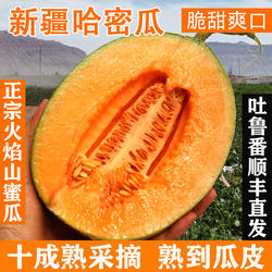 正宗新疆哈密瓜新鲜水果应当季西州蜜25网纹脆甜蜜瓜整箱顺丰包邮