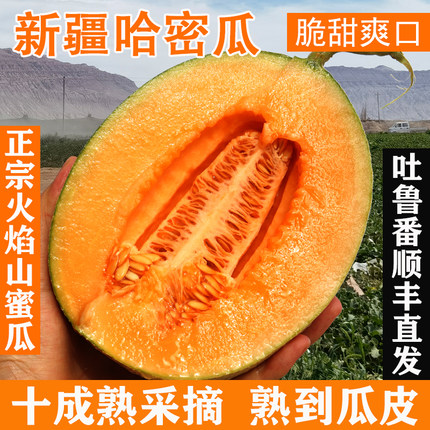 正宗新疆哈密瓜新鲜水果应当季西州蜜25网纹脆甜蜜瓜整箱顺丰包邮