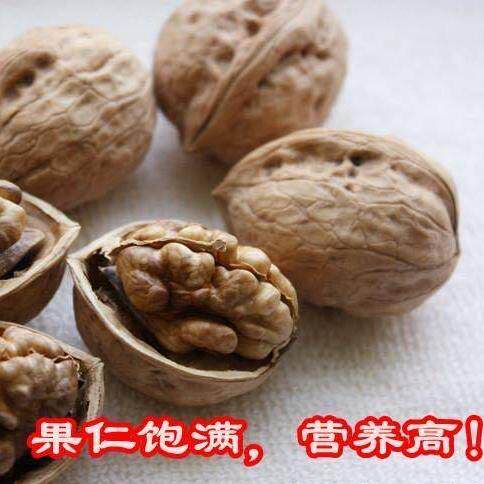 稀有无涩味81核桃易薄新疆特产