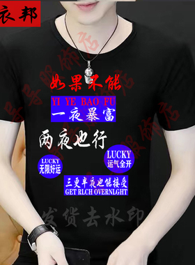 如果不能一夜暴富 两夜也行 搞笑男士短袖T恤衫恶搞趣味潮图潮句