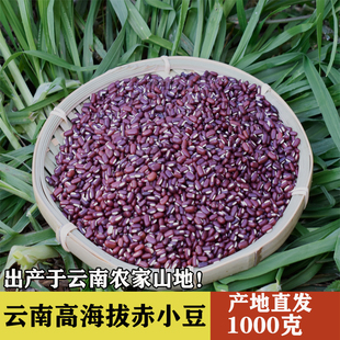 云南赤小豆 纤细粒长红河高原品质 赤红豆伏苓炖鸡煮粥  1kg